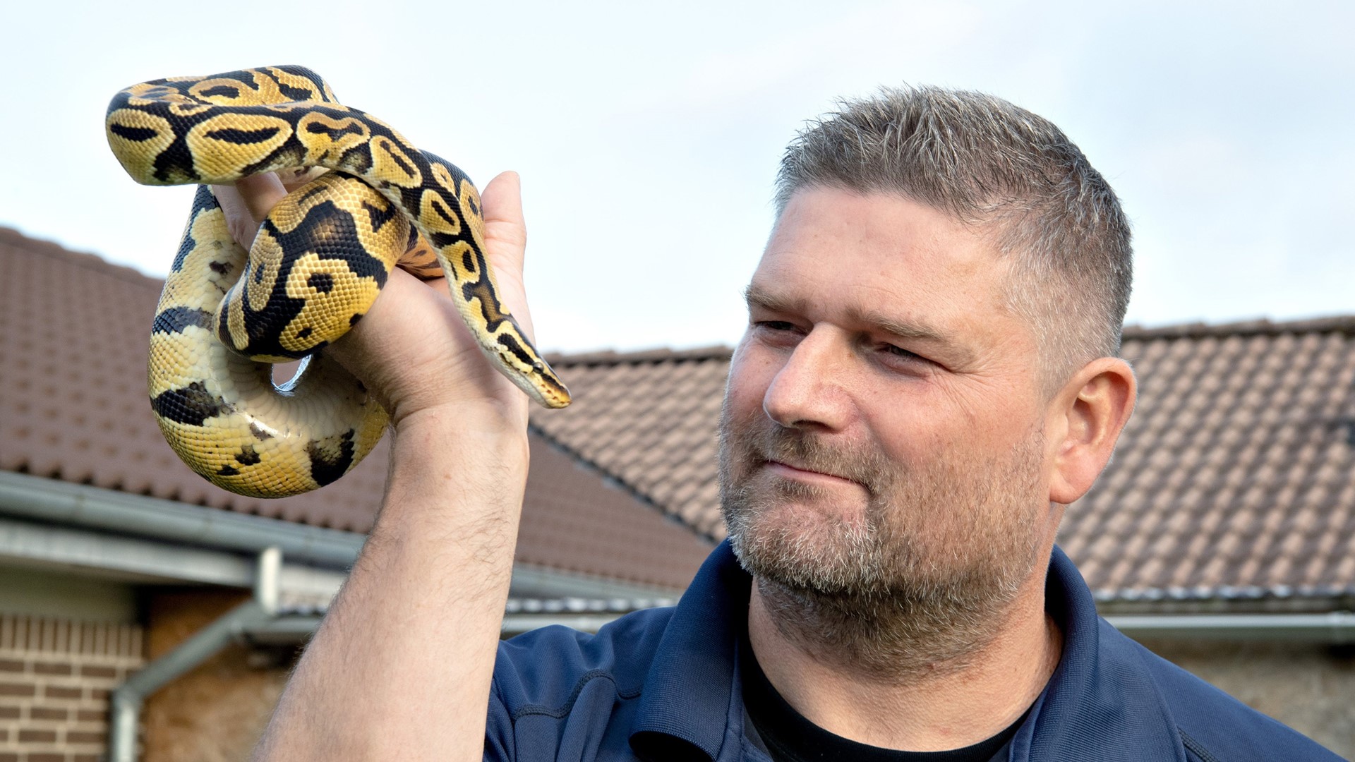 Havebassin indeholdt ubehagelig overraskelse: Slangetæmmer kunne have mistet en arm